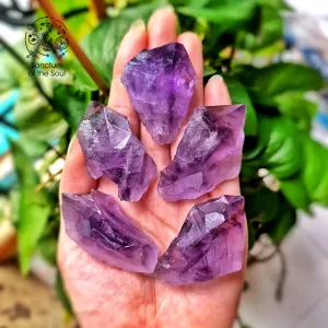Amethyst Roots