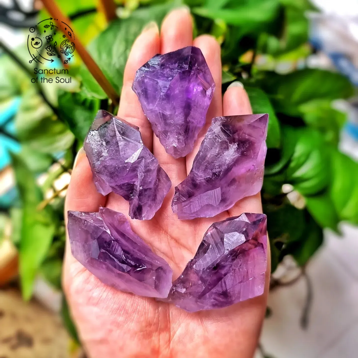 Amethyst Roots