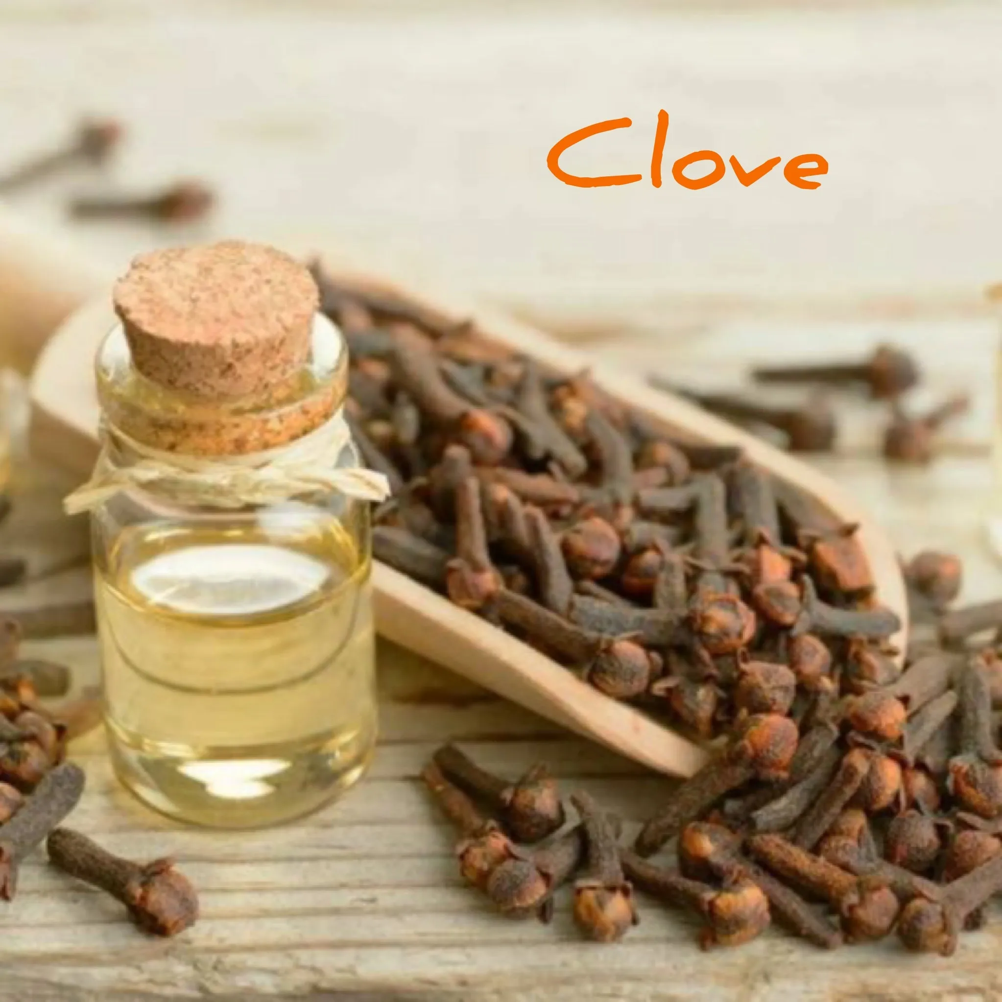 Anise & Clove Tooth Cleanse 1oz - Fat & The Moon