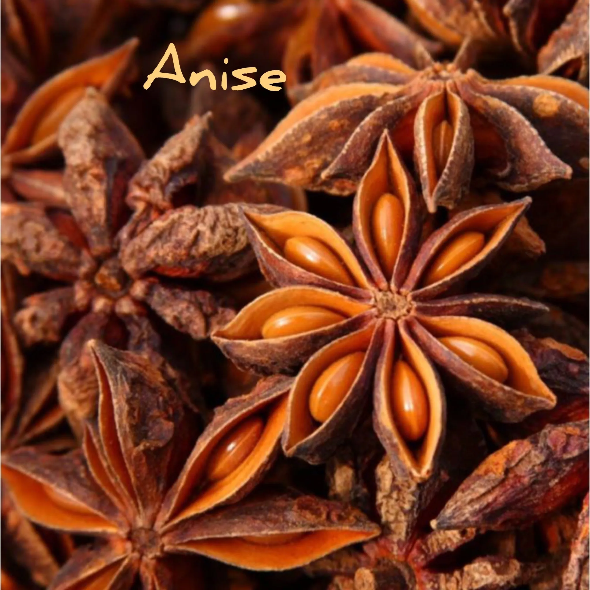 Anise & Clove Tooth Cleanse 1oz - Fat & The Moon