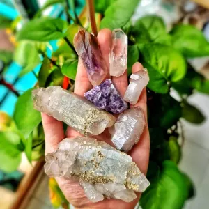 Assorted Quartz Crystals