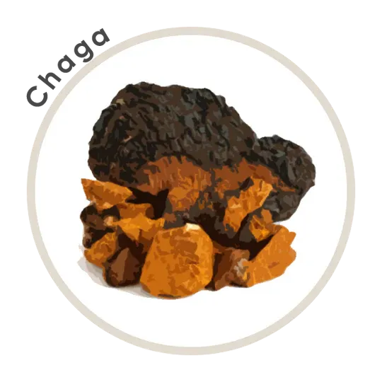 Big Shot instant Decaf 7 mushroom coffee  240g -  La Republica