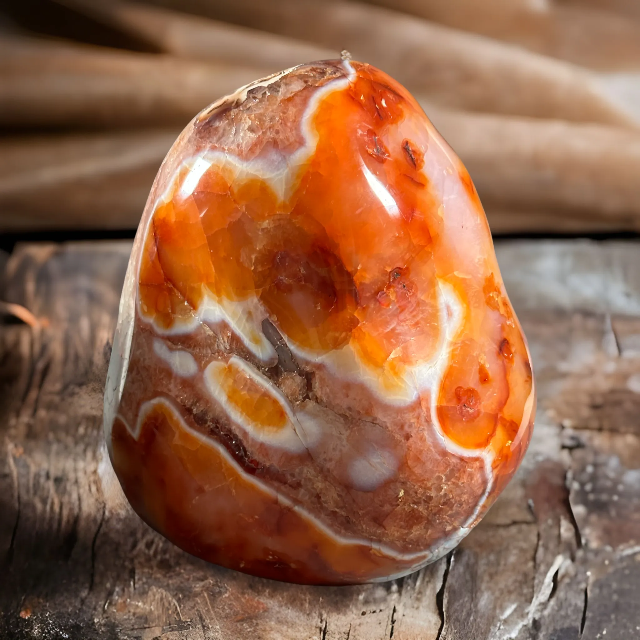 Carnelian Extra large Freeform - 6.2kgs