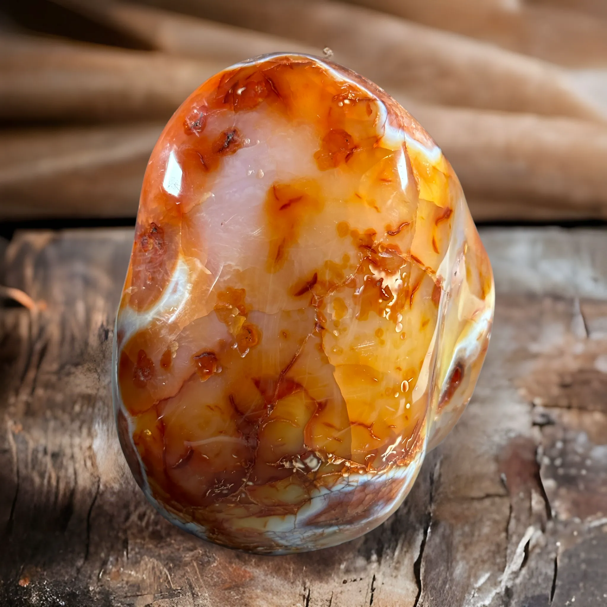 Carnelian Extra large Freeform - 6.2kgs