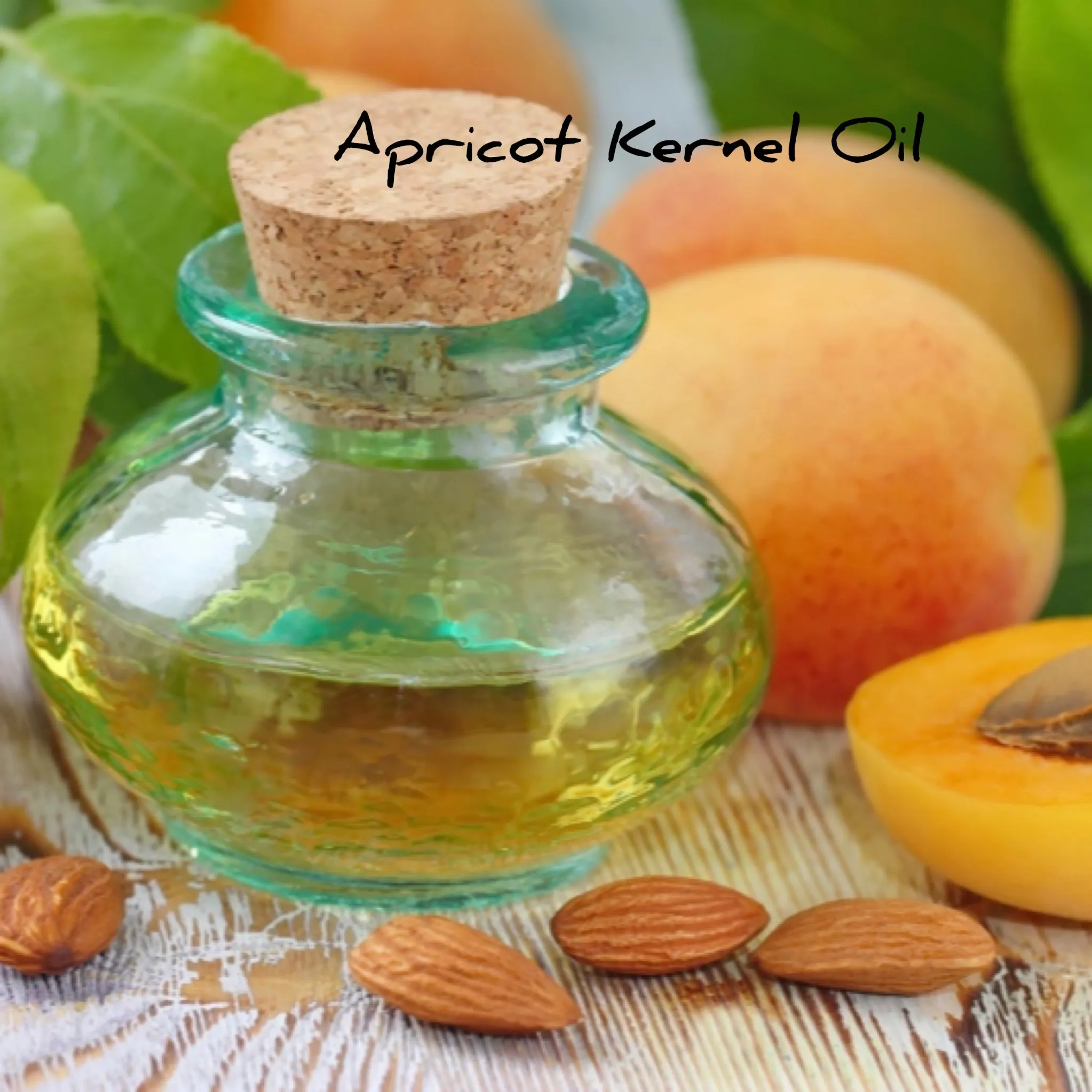 Face Oil 1oz - Fat & The Moon