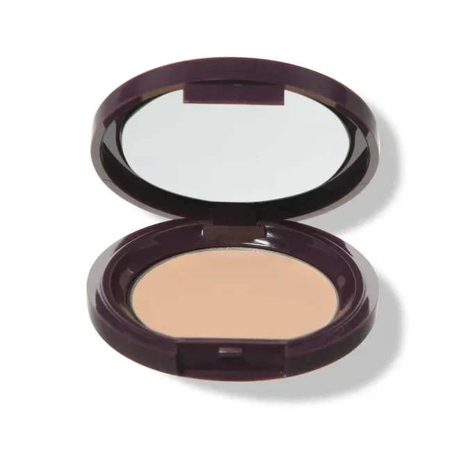 Fruit Pigmented Long Last Concealer with Super Fruits - 100% Pure