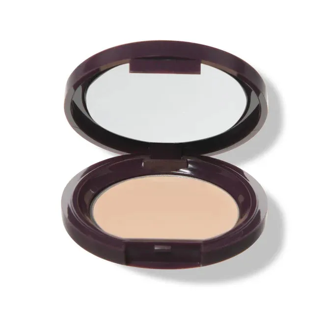 Fruit Pigmented Long Last Concealer with Super Fruits - 100% Pure