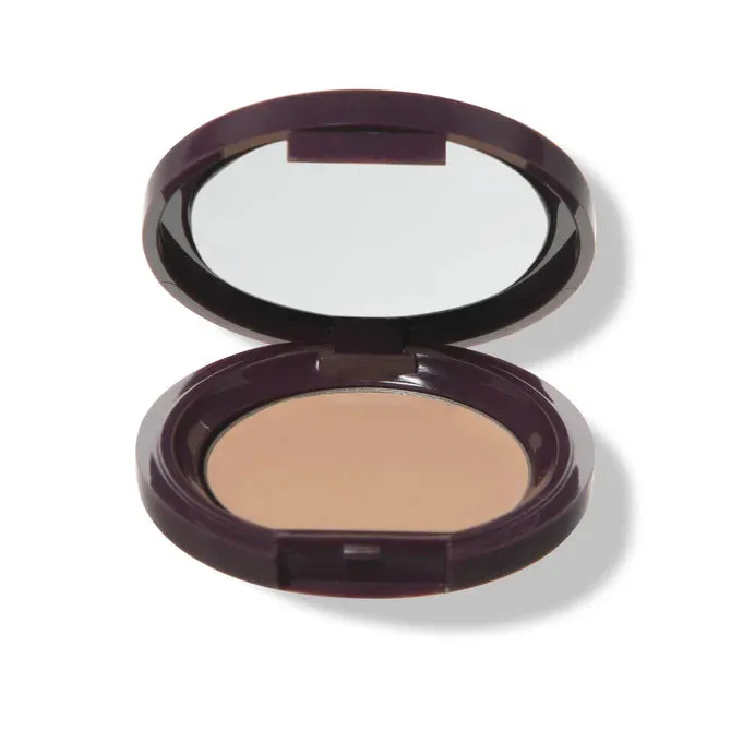 Fruit Pigmented Long Last Concealer with Super Fruits - 100% Pure
