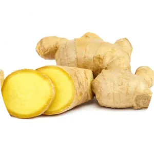 Ginger Root Essential Oil - Living Libations