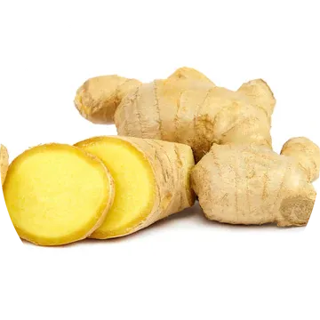 Ginger Root Essential Oil - Living Libations