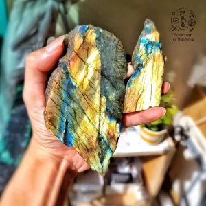 Golden Labradorite Semi-Polished