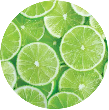 Lime Essential Oil - Living Libations