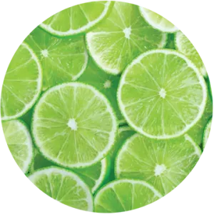 Lime Essential Oil - Living Libations