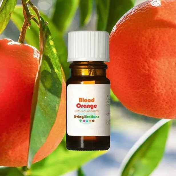 Orange, Blood Essential Oil - Living Libations