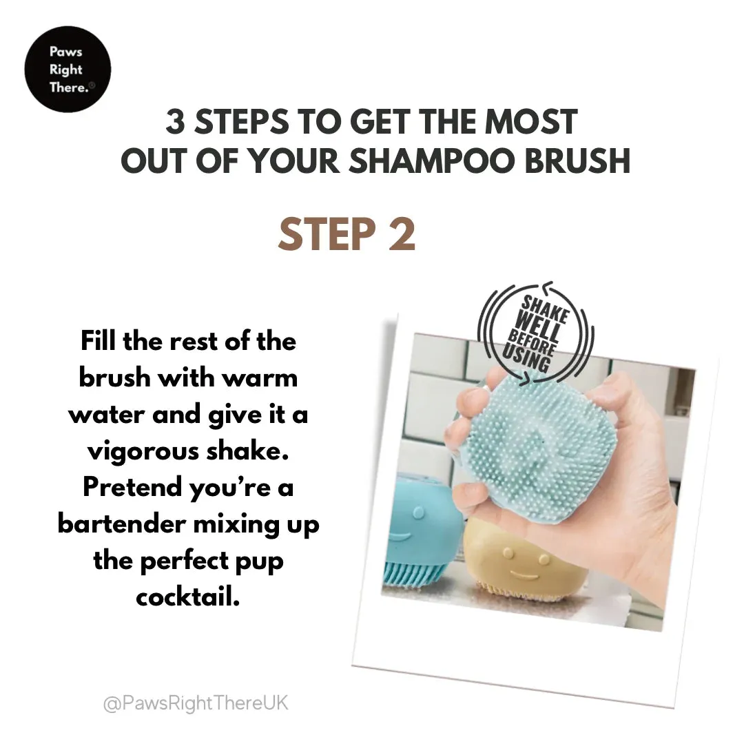 Shampoo Brush - Paws Right There