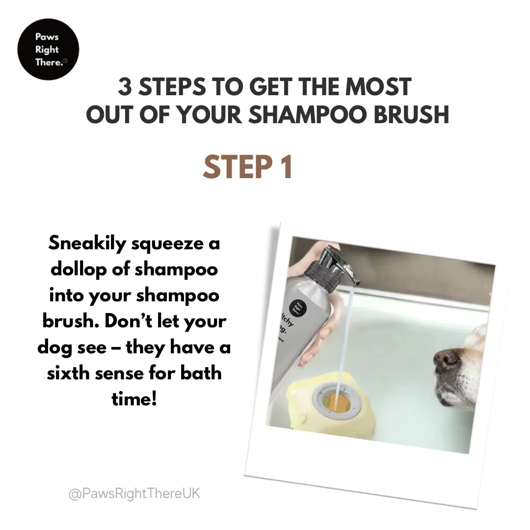 Shampoo Brush - Paws Right There
