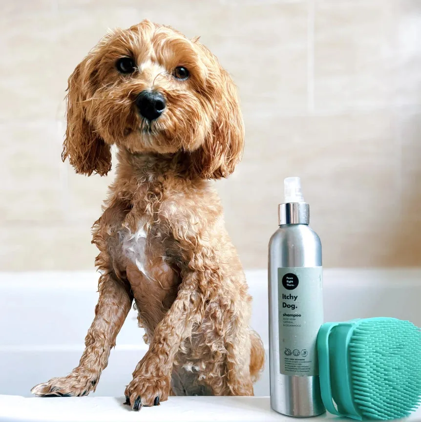 Shampoo Brush - Paws Right There
