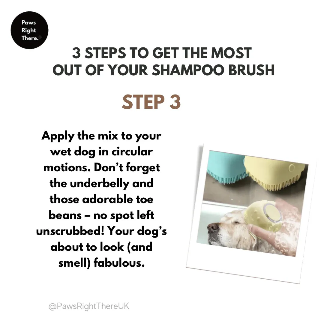 Shampoo Brush - Paws Right There