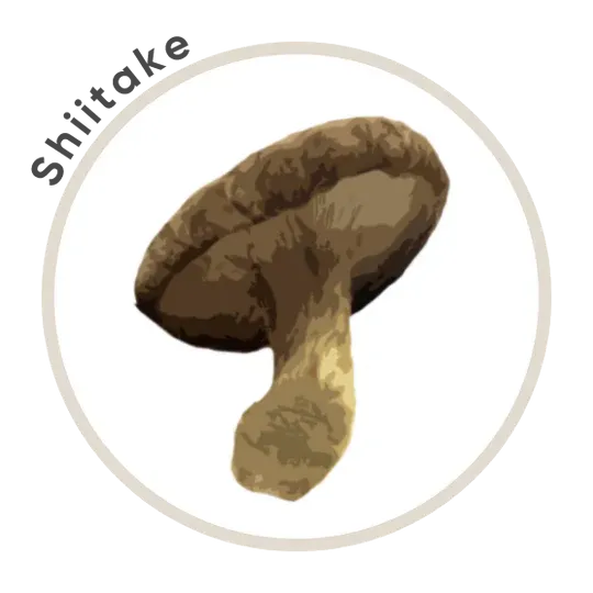 Titan 10 Mushroom Extract Powder 85g *Limited Edition* - La Republica