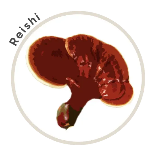 Titan 10 Mushroom Extract Powder 85g *Limited Edition* - La Republica