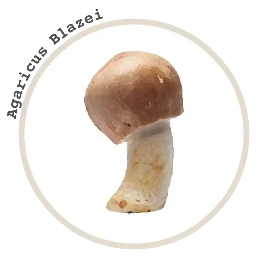 Titan 10 Mushroom Extract Powder 85g *Limited Edition* - La Republica