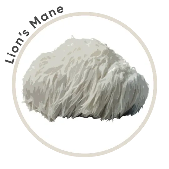Titan 10 Mushroom Extract Powder 85g *Limited Edition* - La Republica
