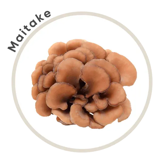 Titan 10 Mushroom Extract Powder 85g *Limited Edition* - La Republica