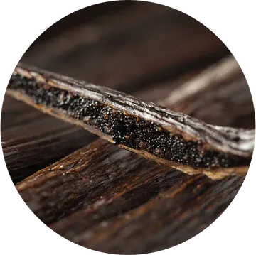 Vanilla Essential Oil - Living Libations