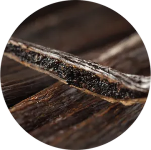 Vanilla Essential Oil - Living Libations